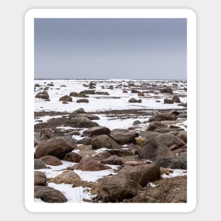 Rocks and snow on the coast of frozen sea Sticker